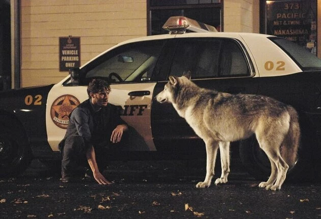 Кадры из сериала Однажды в сказке 1 сезон